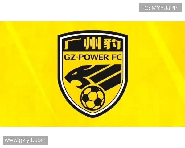 广州足球队在全国锦标赛中的表现分析与未来展望